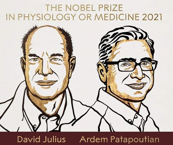 Prix nobel médecine